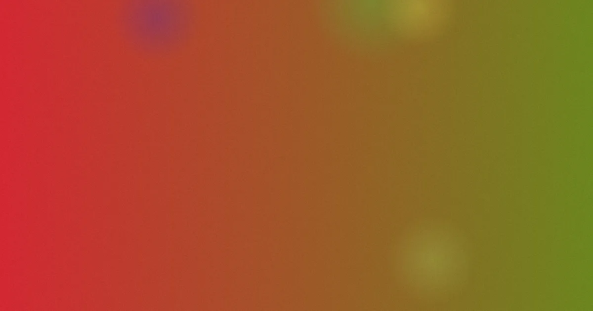 瑞秋库克是什么：一篇讲清
